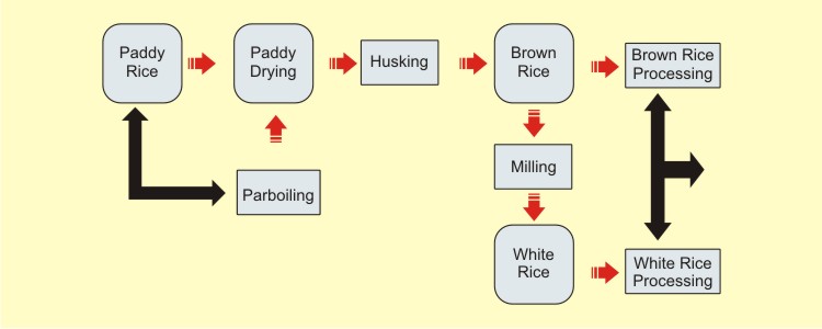 Rice Processing Process