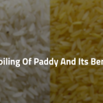 Paddy Parboiling Plant